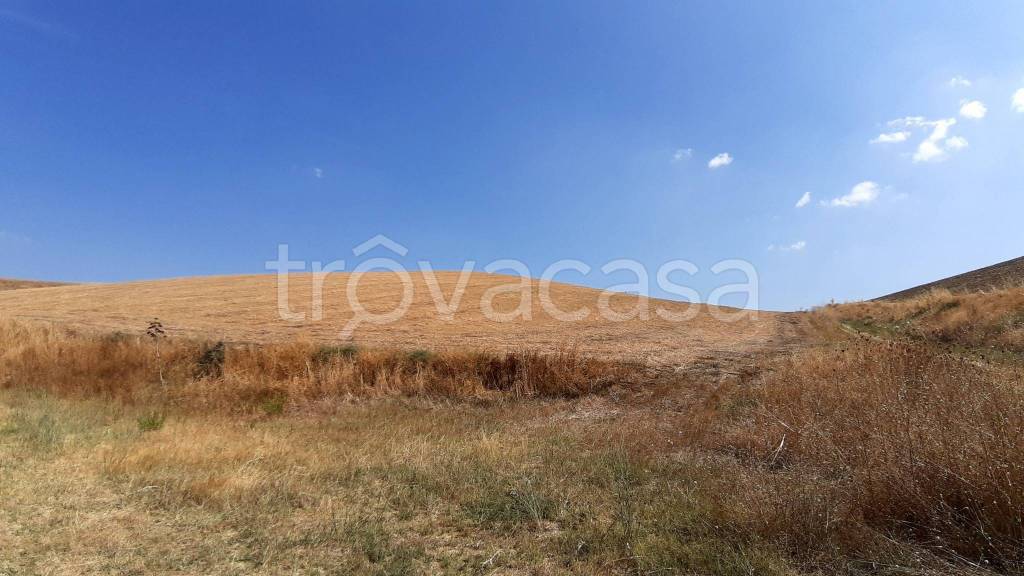 casa indipendente in vendita a Tarquinia