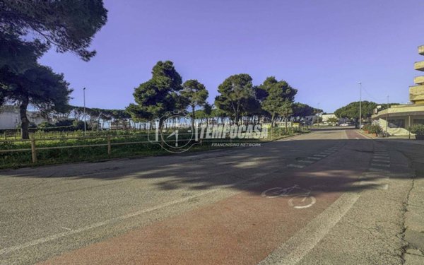 negozio in vendita a Tarquinia