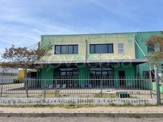 negozio in vendita a Tarquinia