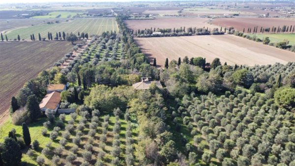 locale di sgombero in vendita a Tarquinia