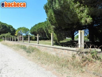 terreno agricolo in vendita a Tarquinia