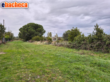 terreno agricolo in vendita a Tarquinia