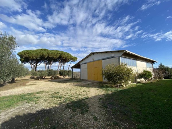 ufficio in vendita a Tarquinia