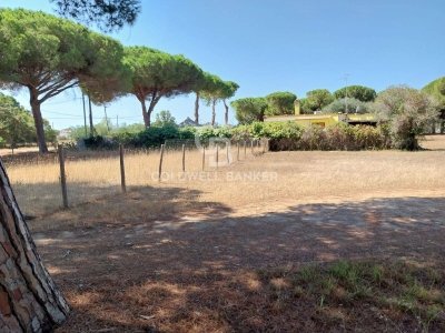 appartamento in vendita a Tarquinia