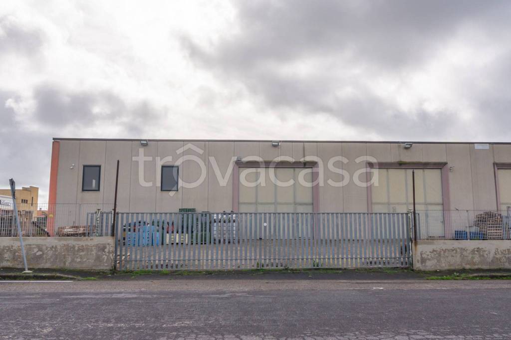 appartamento in vendita a Tarquinia