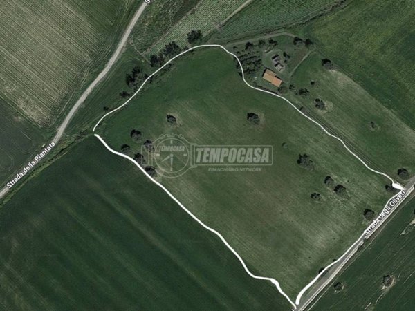 terreno agricolo in vendita a Tarquinia