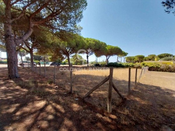 terreno agricolo in vendita a Tarquinia