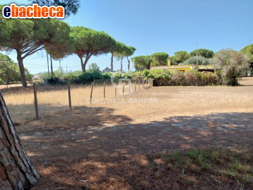 appartamento in vendita a Tarquinia