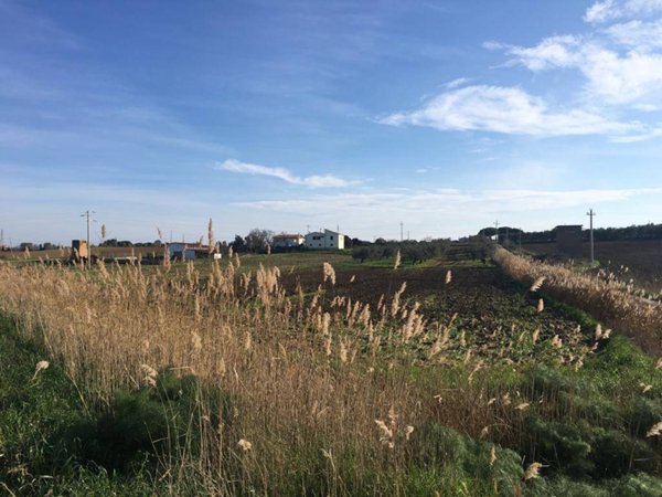 casa indipendente in vendita a Tarquinia