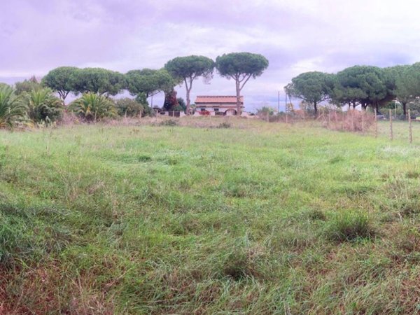 terreno agricolo in vendita a Tarquinia