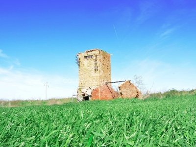 terreno agricolo in vendita a Tarquinia