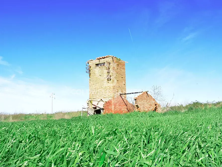 terreno agricolo in vendita a Tarquinia