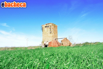 terreno agricolo in vendita a Tarquinia