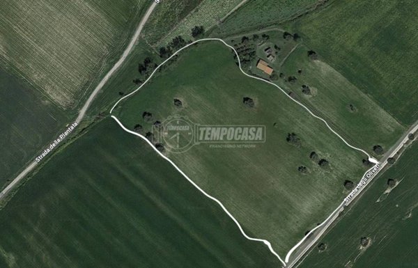 terreno agricolo in vendita a Tarquinia
