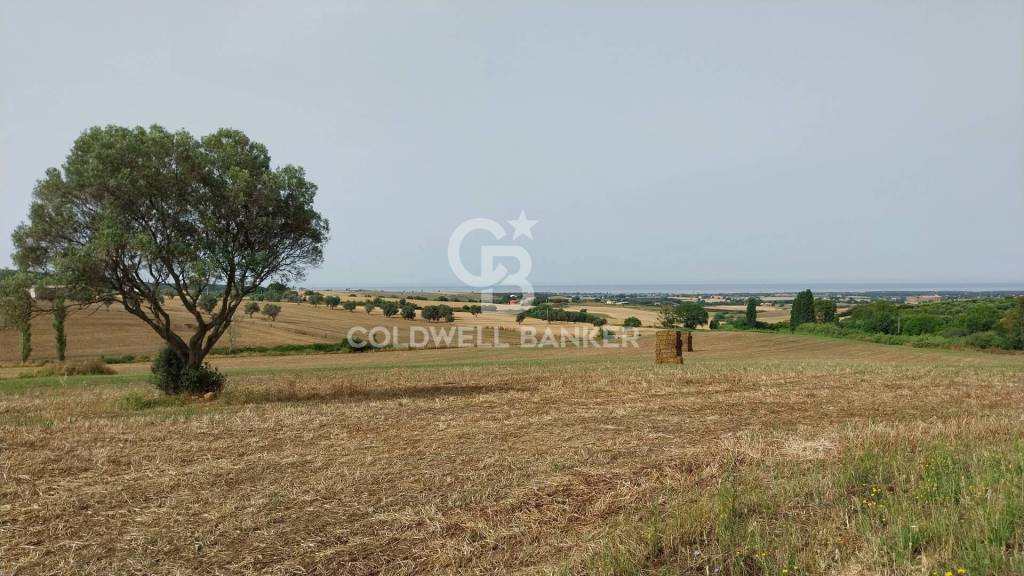 casa indipendente in vendita a Tarquinia