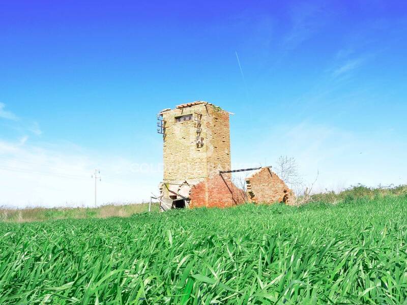 terreno agricolo in vendita a Tarquinia