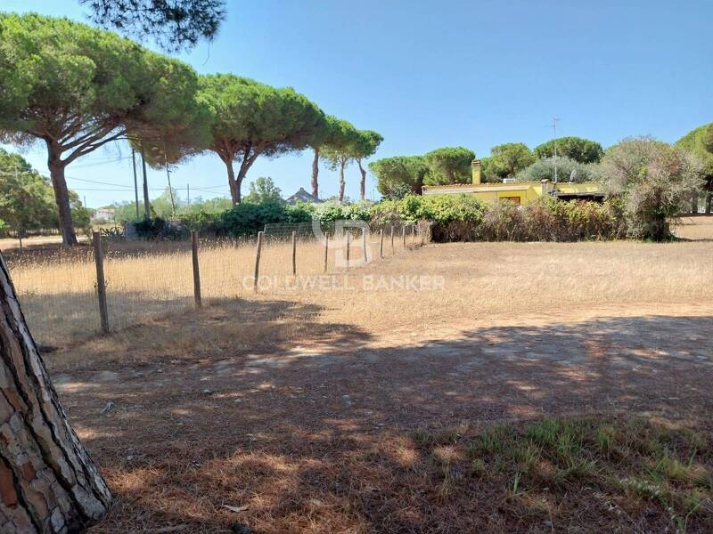 appartamento in vendita a Tarquinia