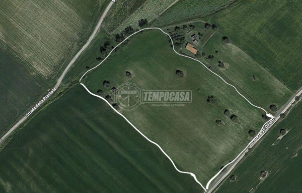 terreno agricolo in vendita a Tarquinia