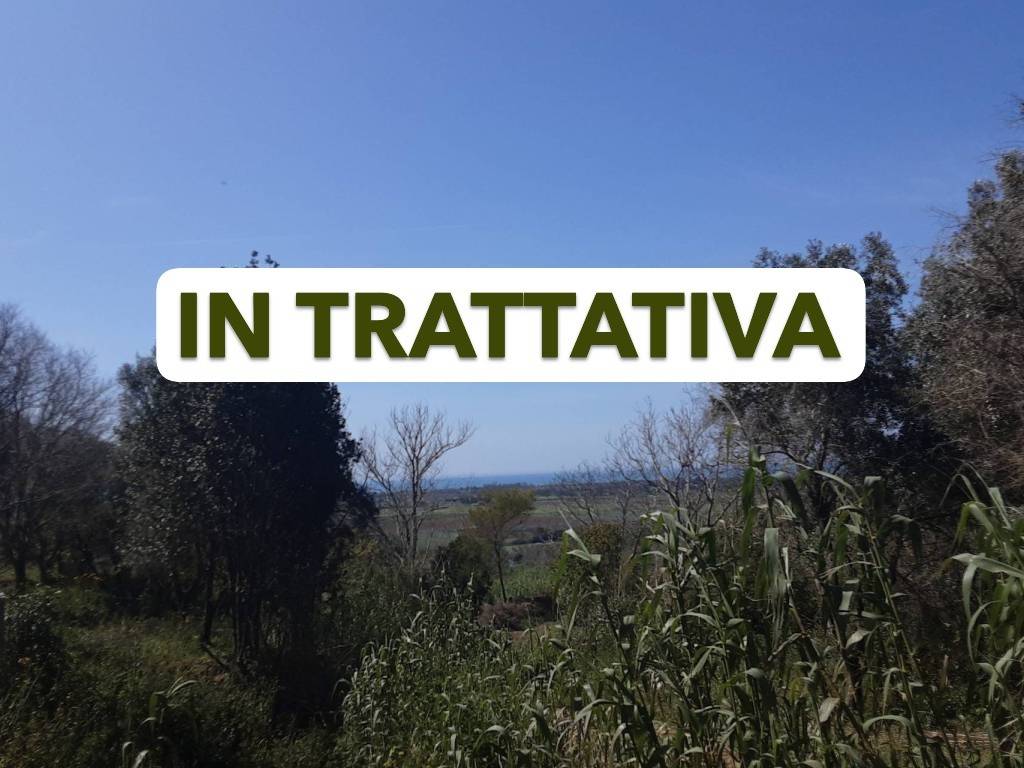 casa indipendente in vendita a Tarquinia