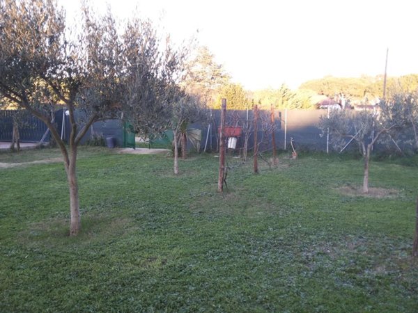terreno agricolo in vendita a Tarquinia