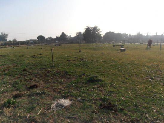 terreno agricolo in vendita a Tarquinia