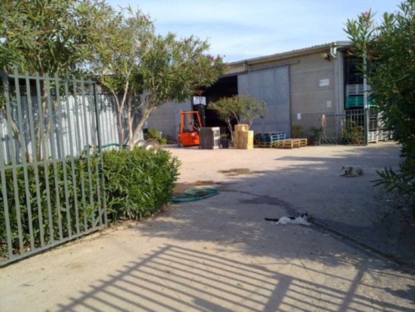 ufficio in vendita a Tarquinia