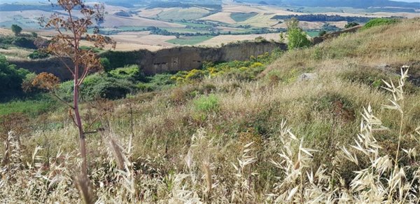 casa indipendente in vendita a Tarquinia
