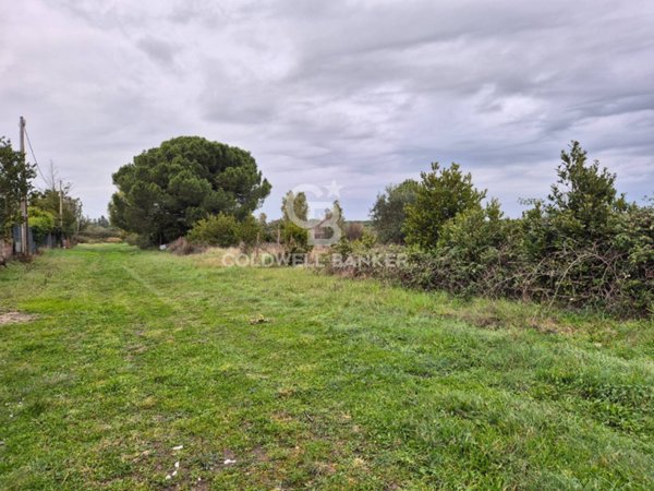 terreno agricolo in vendita a Tarquinia