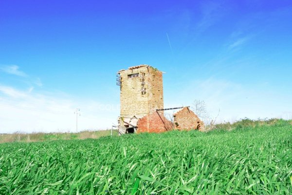 terreno agricolo in vendita a Tarquinia