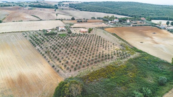 casa indipendente in vendita a Tarquinia