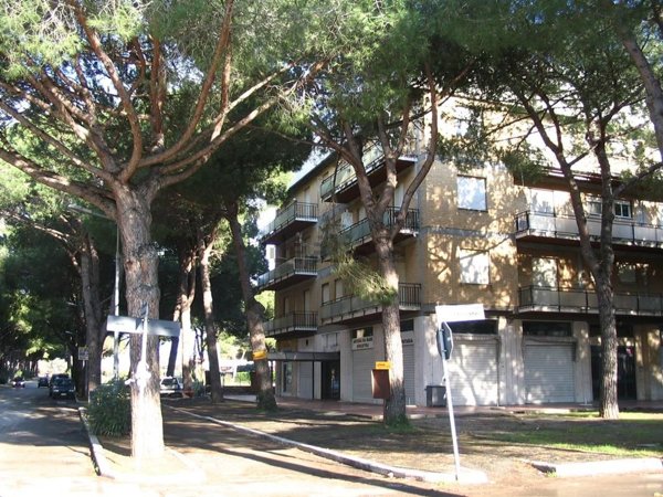 appartamento in vendita a Tarquinia