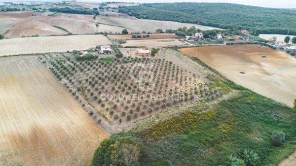 casa indipendente in vendita a Tarquinia