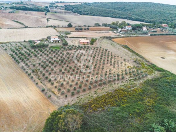 casa indipendente in vendita a Tarquinia