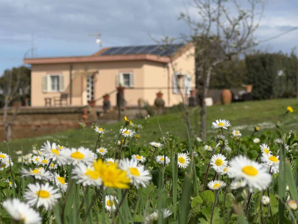 casa indipendente in vendita a Tarquinia