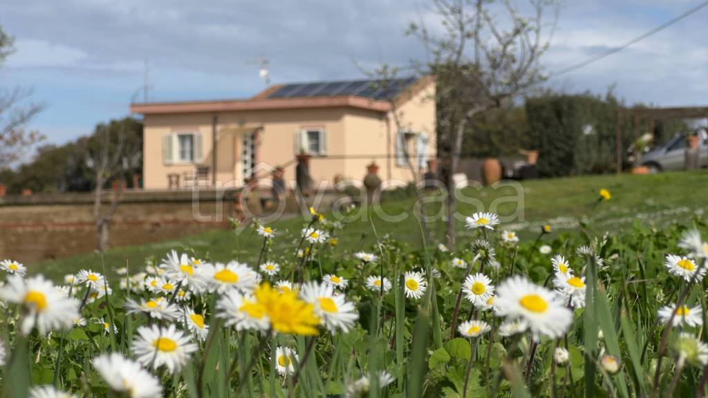 casa indipendente in vendita a Tarquinia