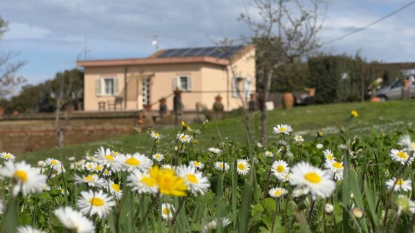 villa in vendita a Tarquinia
