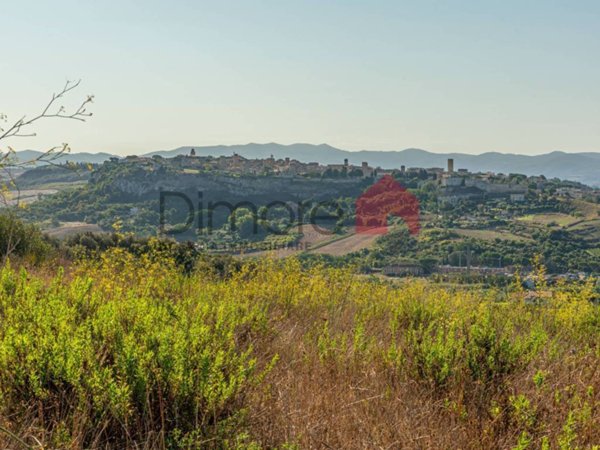 terreno agricolo in vendita a Tarquinia