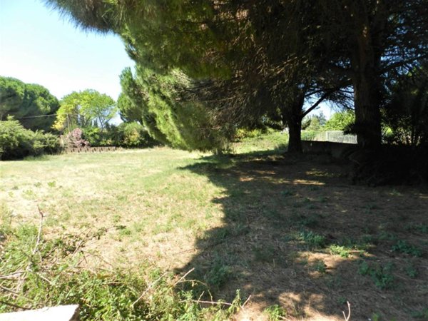 terreno agricolo in vendita a Tarquinia