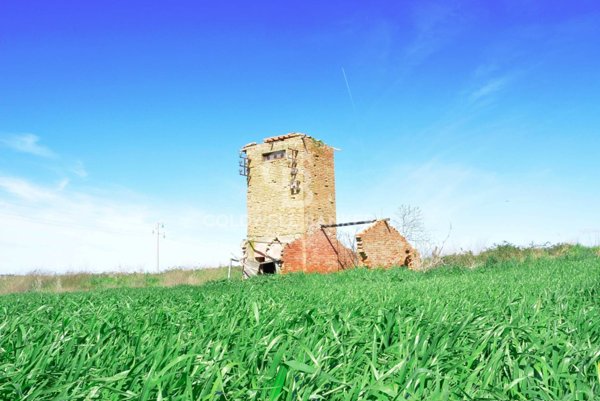 terreno agricolo in vendita a Tarquinia