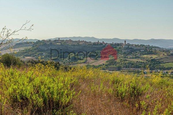 terreno agricolo in vendita a Tarquinia