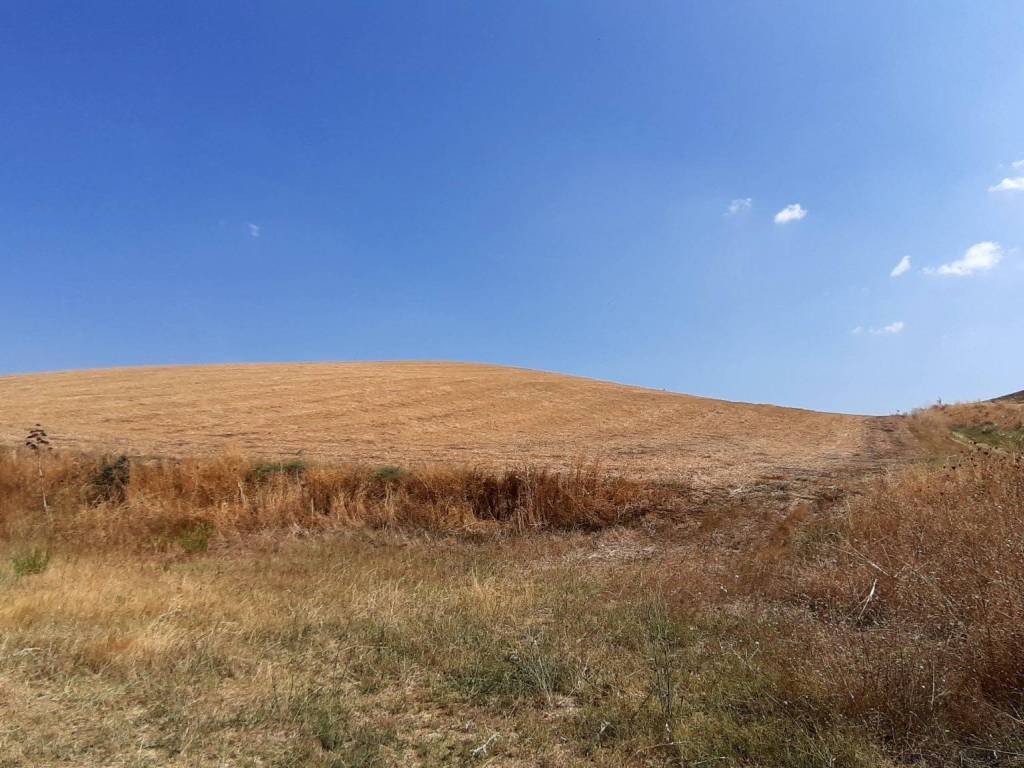 casa indipendente in vendita a Tarquinia