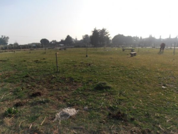 terreno agricolo in vendita a Tarquinia
