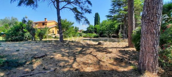 terreno agricolo in vendita a Tarquinia in zona Marina Velca
