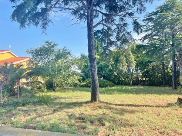 immagine annuncio 0 di 15