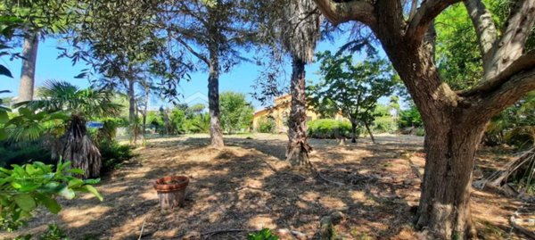 terreno agricolo in vendita a Tarquinia in zona Marina Velca