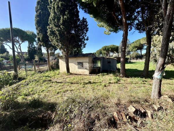 casa indipendente in vendita a Tarquinia