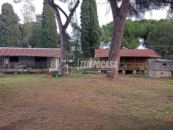 casa indipendente in vendita a Tarquinia