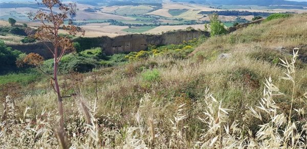 casa indipendente in vendita a Tarquinia