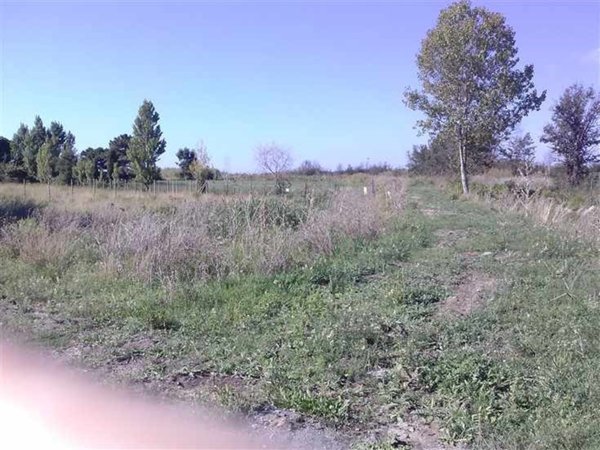 terreno agricolo in vendita a Tarquinia
