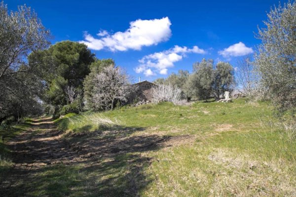 casa indipendente in vendita a Tarquinia